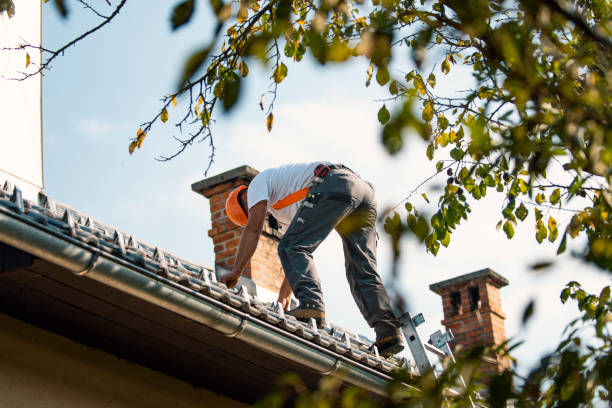 Quick and Trustworthy Emergency Roof Repair Services in Munising, MI