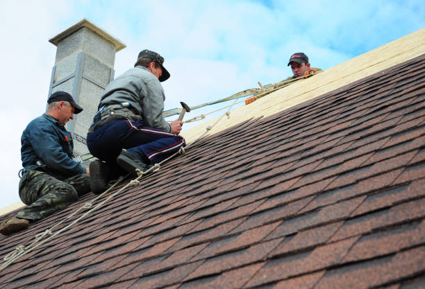 Best Flat Roof Repair Services  in Munising, MI