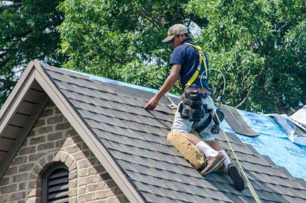 Best New Roof Installation  in Munising, MI